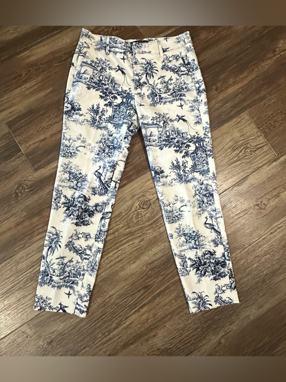 Zara women’s 4 blue toile print chino ankle pants travel scenic landscape